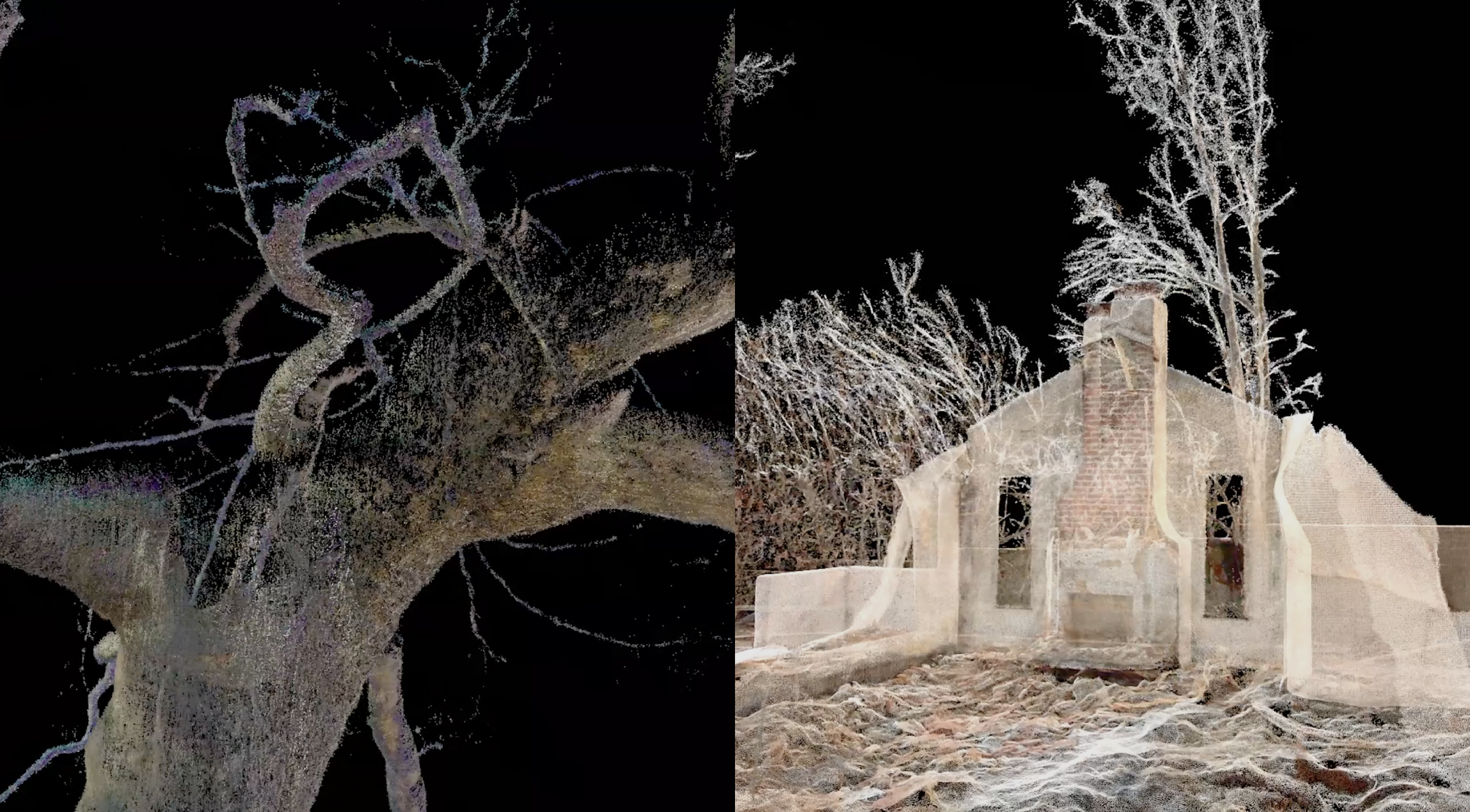 Point cloud renders — tree and chimney ruin detail